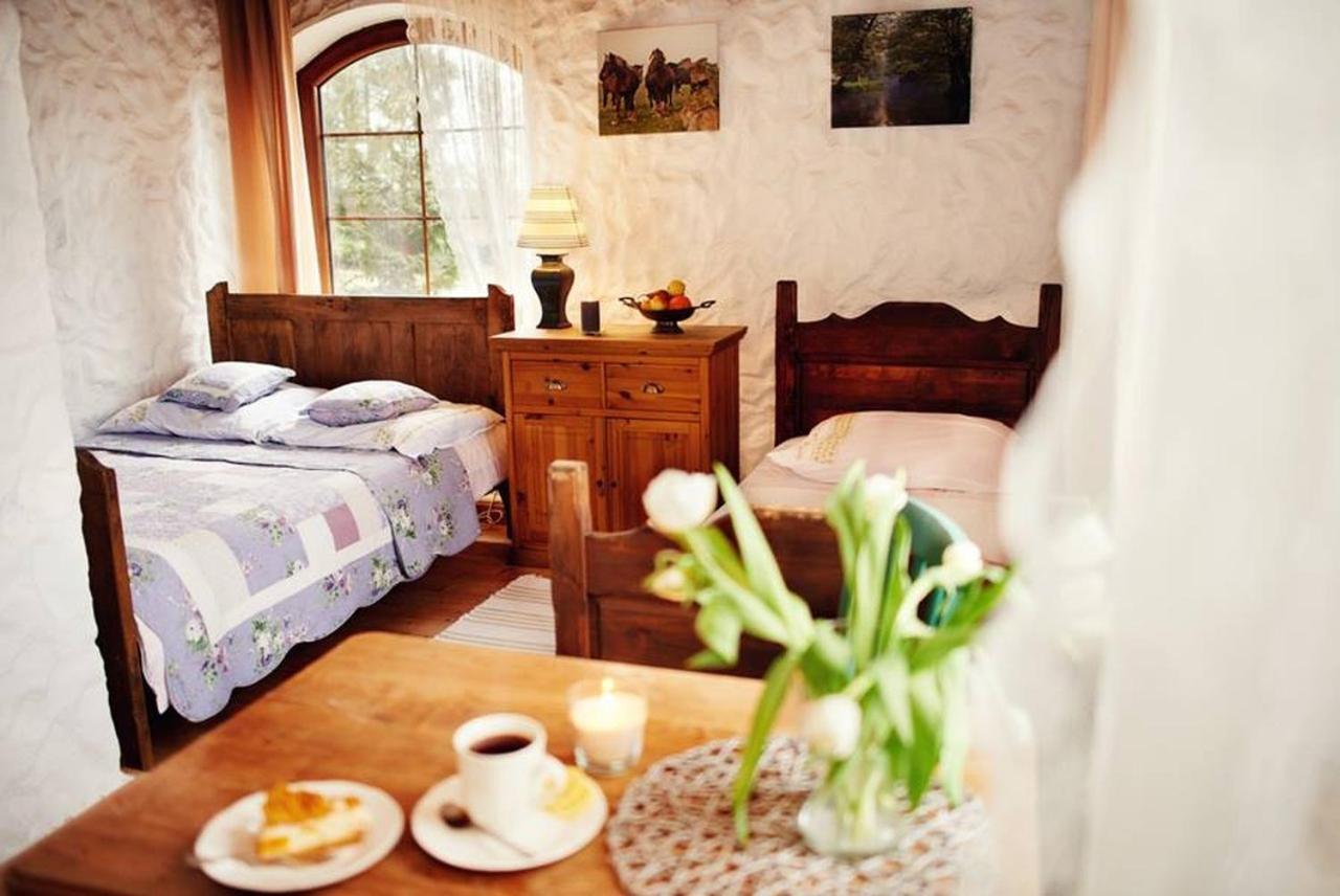 Ciche Wody Villa Budry Room photo